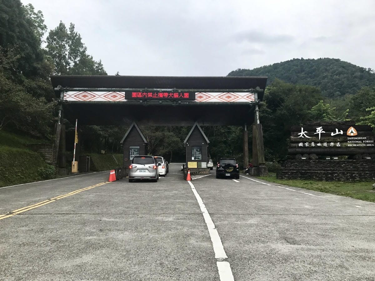 秋冬高山限定美景 台中【武陵農場】金色銀杏、夢幻楓紅、浪漫水杉、天空之鏡必賞絶美人氣景點一次滿足@柚子芳姐の旅遊札記