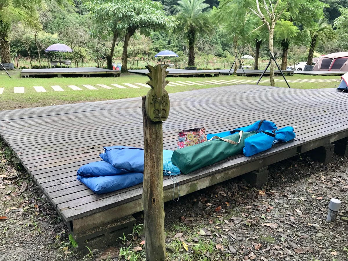 秋冬高山限定美景 台中【武陵農場】金色銀杏、夢幻楓紅、浪漫水杉、天空之鏡必賞絶美人氣景點一次滿足@柚子芳姐の旅遊札記
