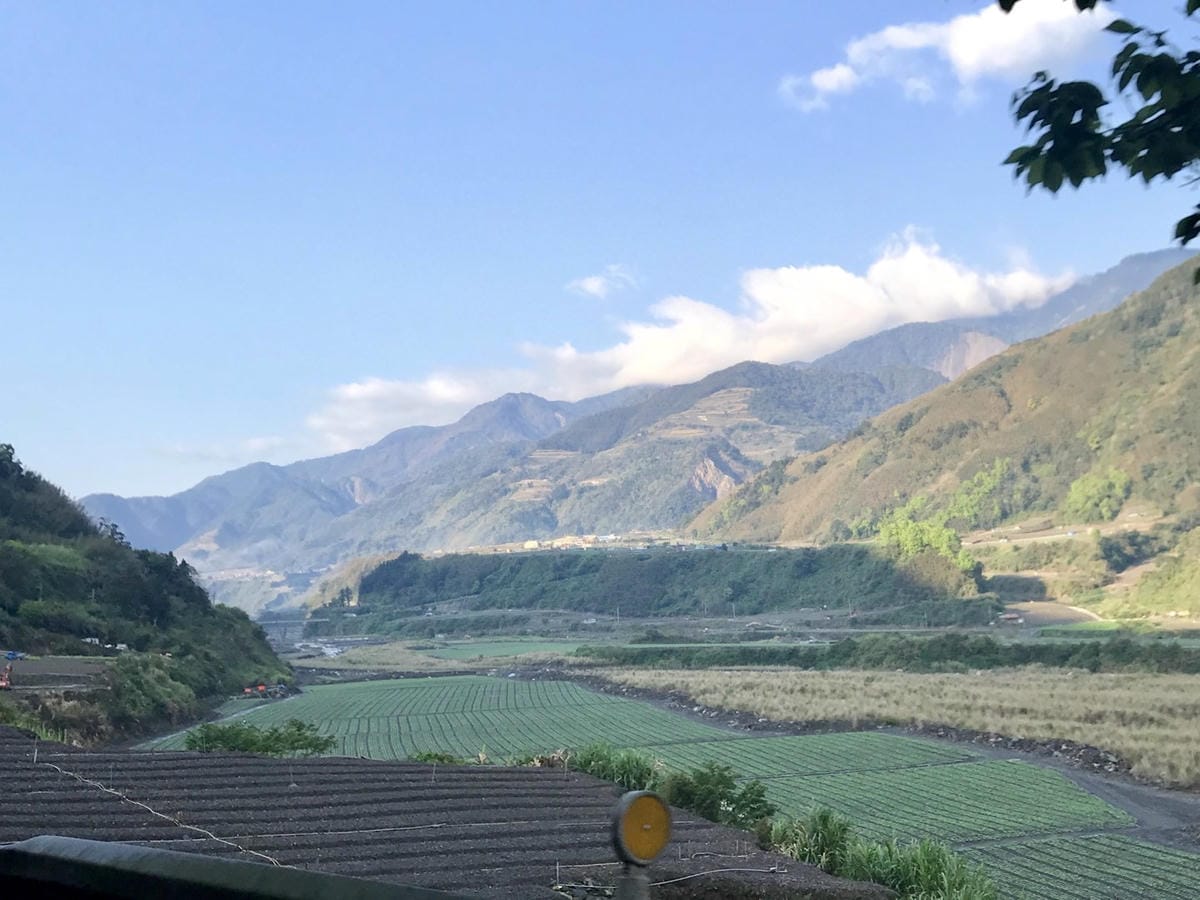 秋冬高山限定美景 台中【武陵農場】金色銀杏、夢幻楓紅、浪漫水杉、天空之鏡必賞絶美人氣景點一次滿足@柚子芳姐の旅遊札記