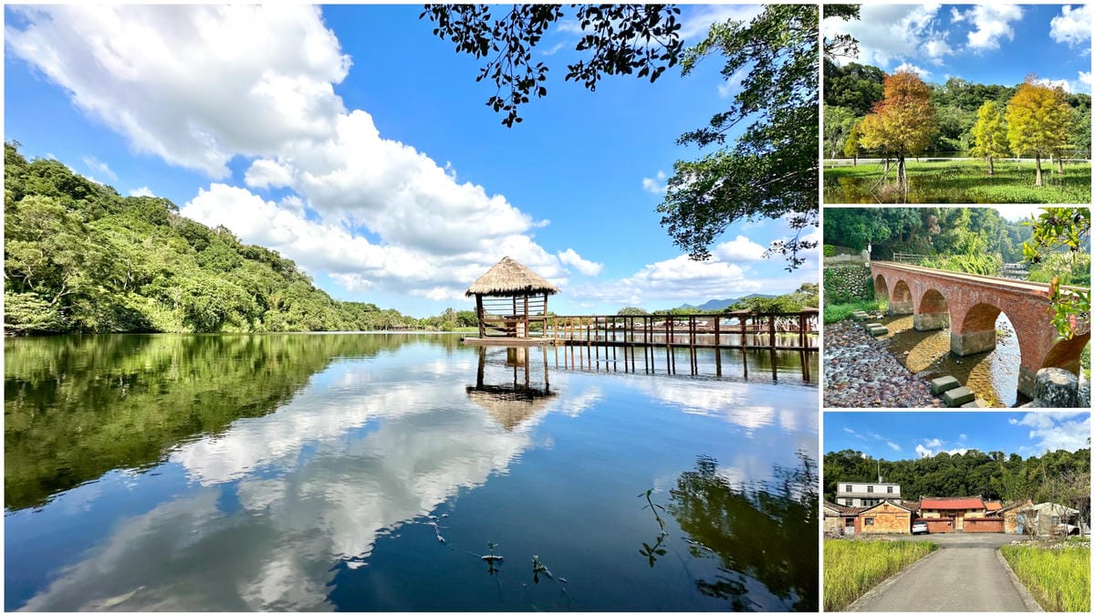 桃園【大溪月眉人工濕地生態公園】絶美落羽松湖光倒影如仙境 / 【大溪河濱公園】夢幻落羽松林超浪漫/走走中庄吊橋/可順遊大溪老街、李騰芳古宅、石門水庫、落羽松大道@柚子芳姐の旅遊札