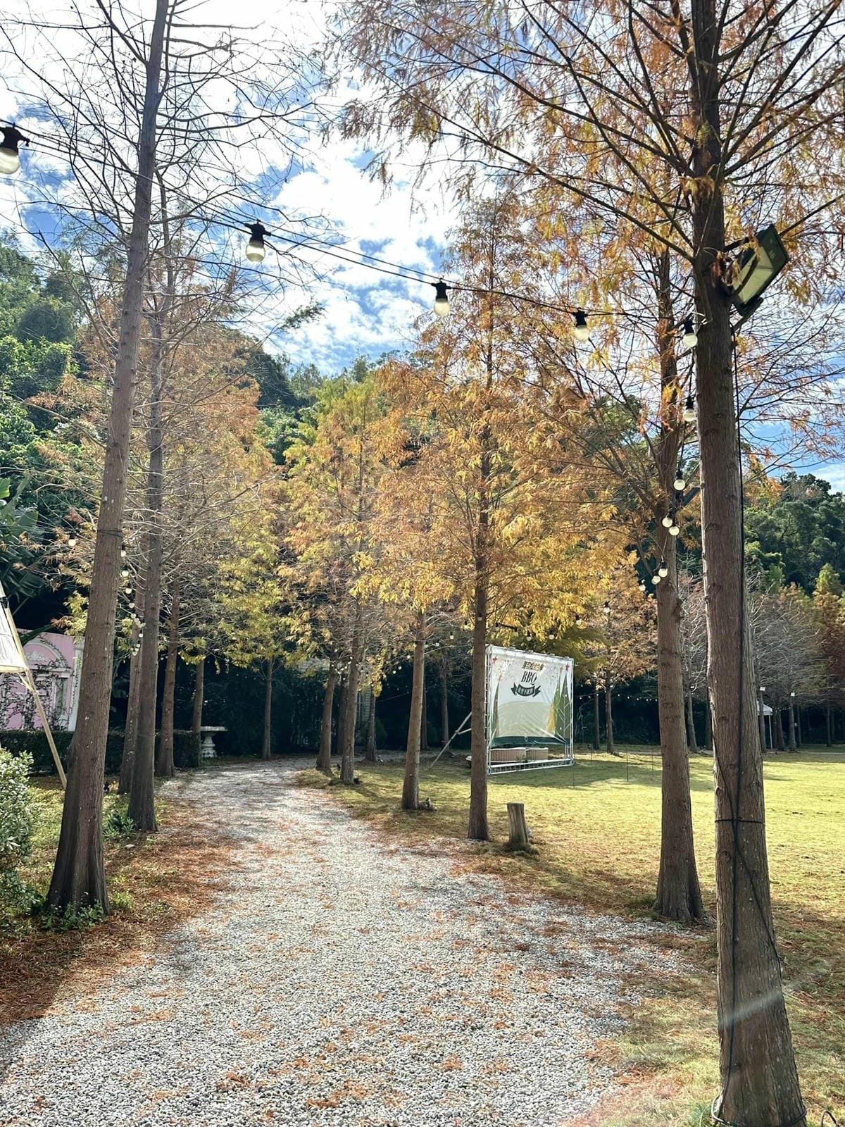 森-1.jpg 森-1.jpg