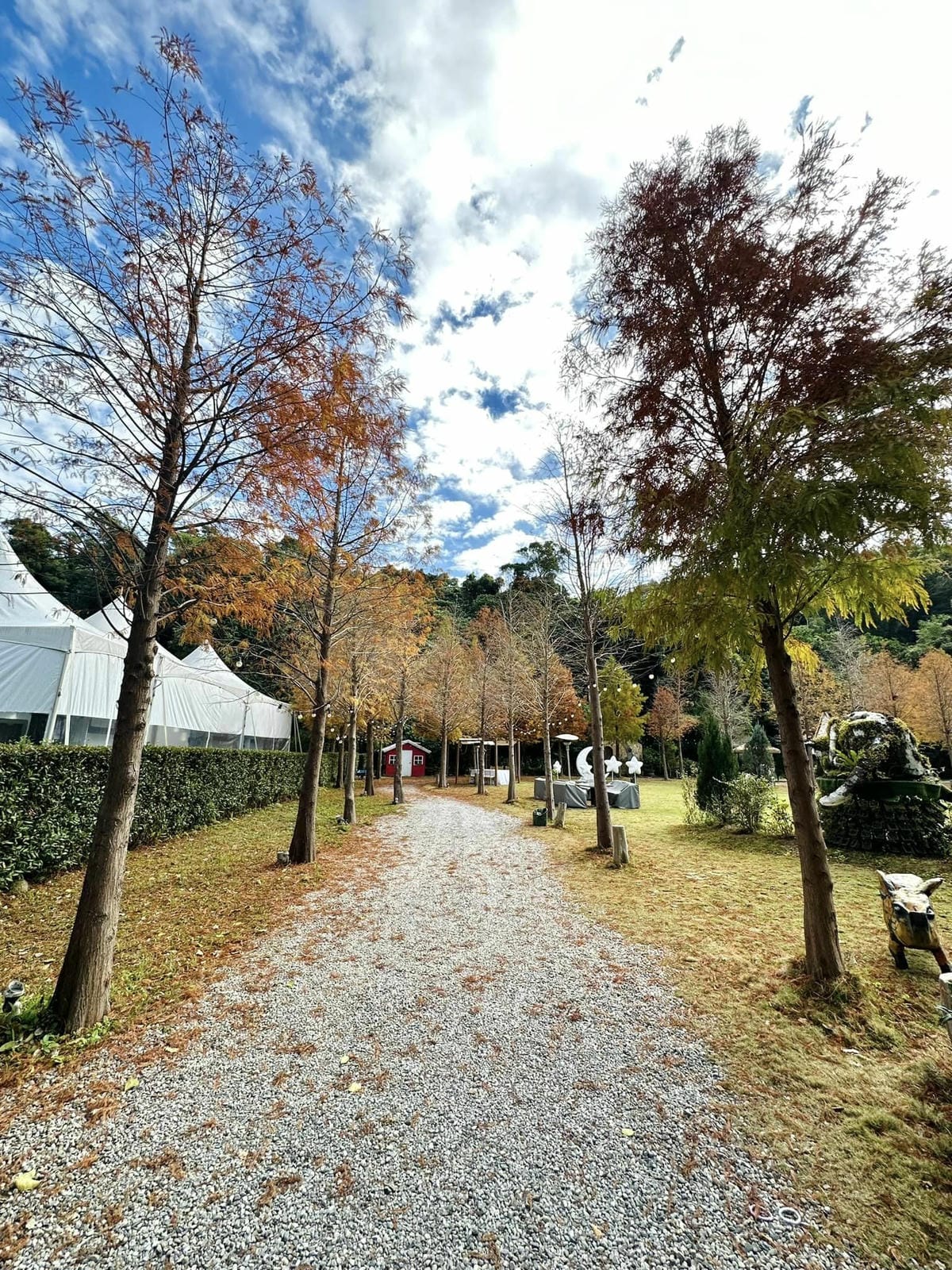 森-2.jpg 森-2.jpg