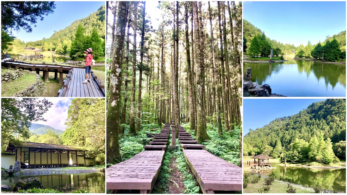 遠的要命農場【台中福壽山農場】”千櫻園” 粉紅櫻花海美爆了、陶醉在粉紅泡泡世界太夢幻了,真是美的要命!@柚子芳姐の旅遊札記