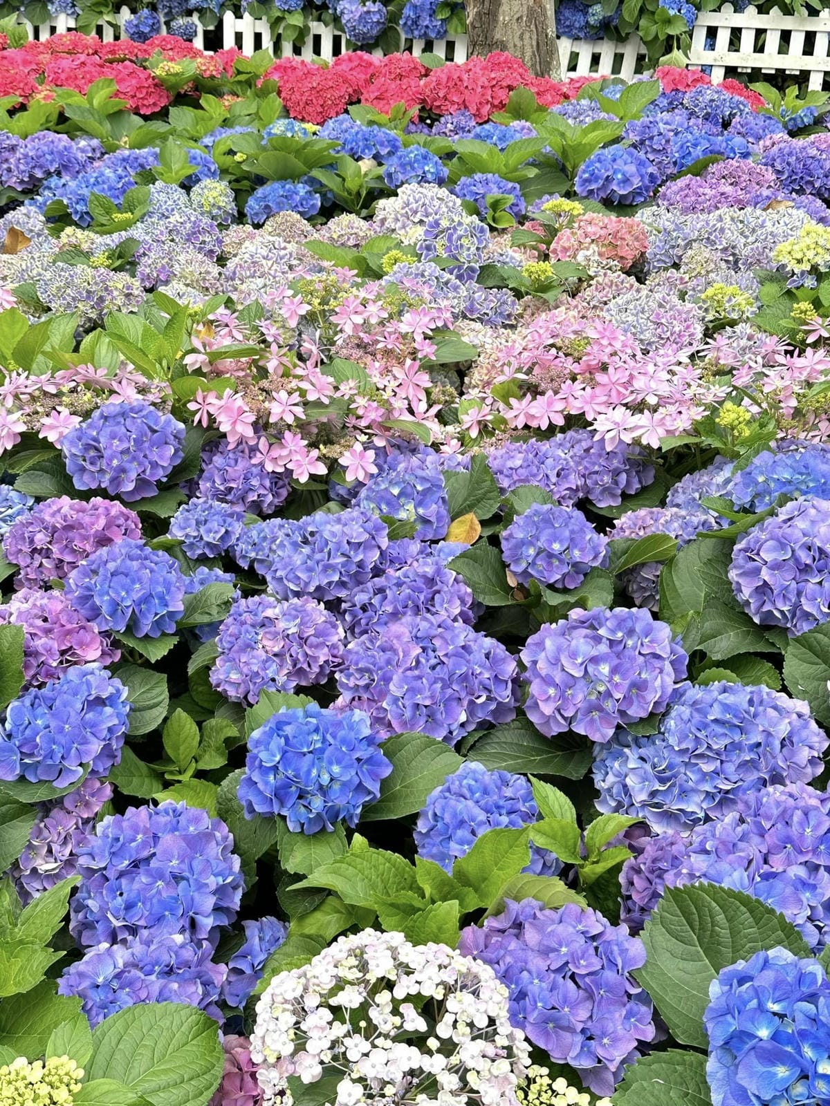 431285944_7517616181593457_4614629409383766976.jpg 431285944_7517616181593457_4614629409383766976.jpg