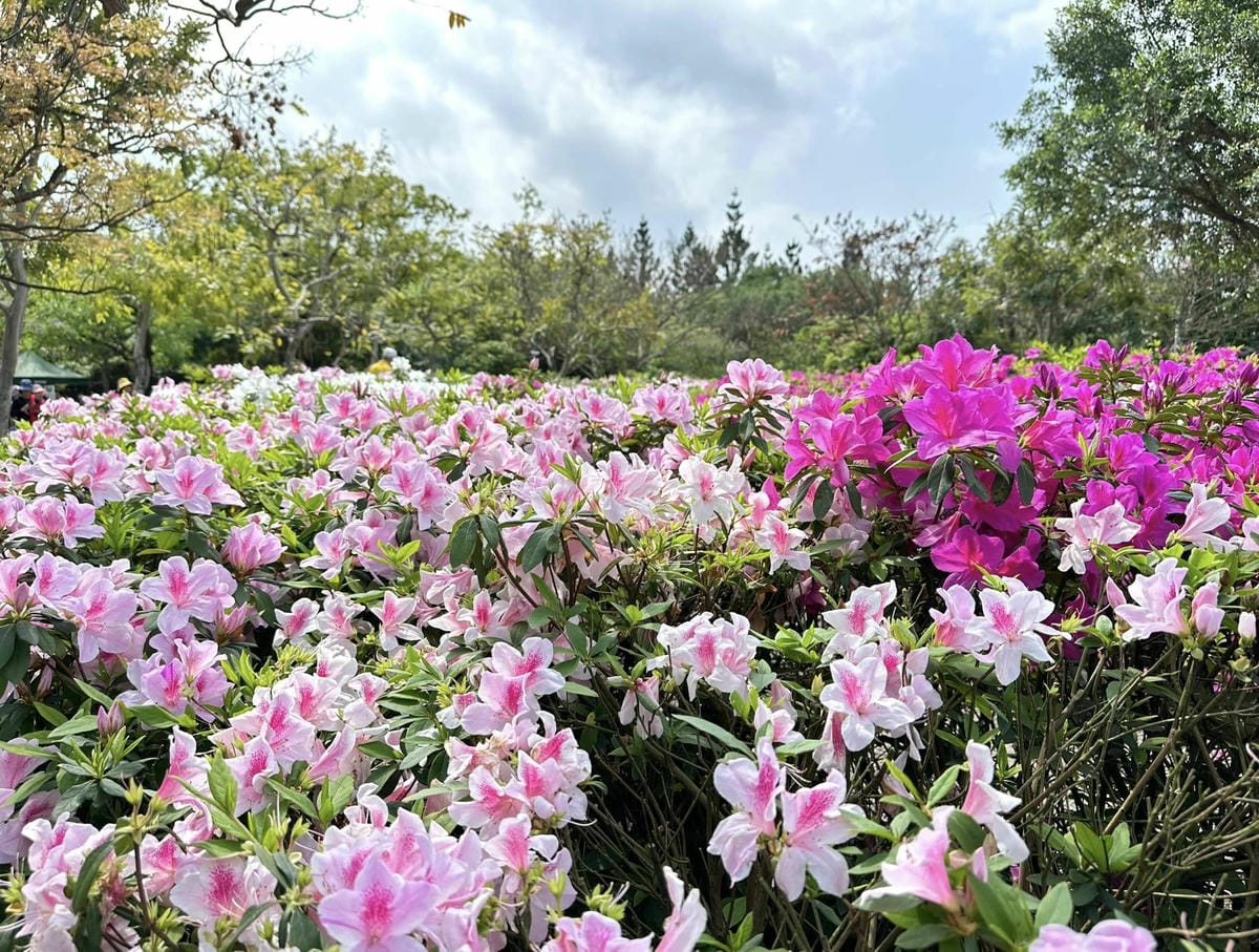 432444503_7517615674926841_8402988325774820905.jpg 432444503_7517615674926841_8402988325774820905.jpg
