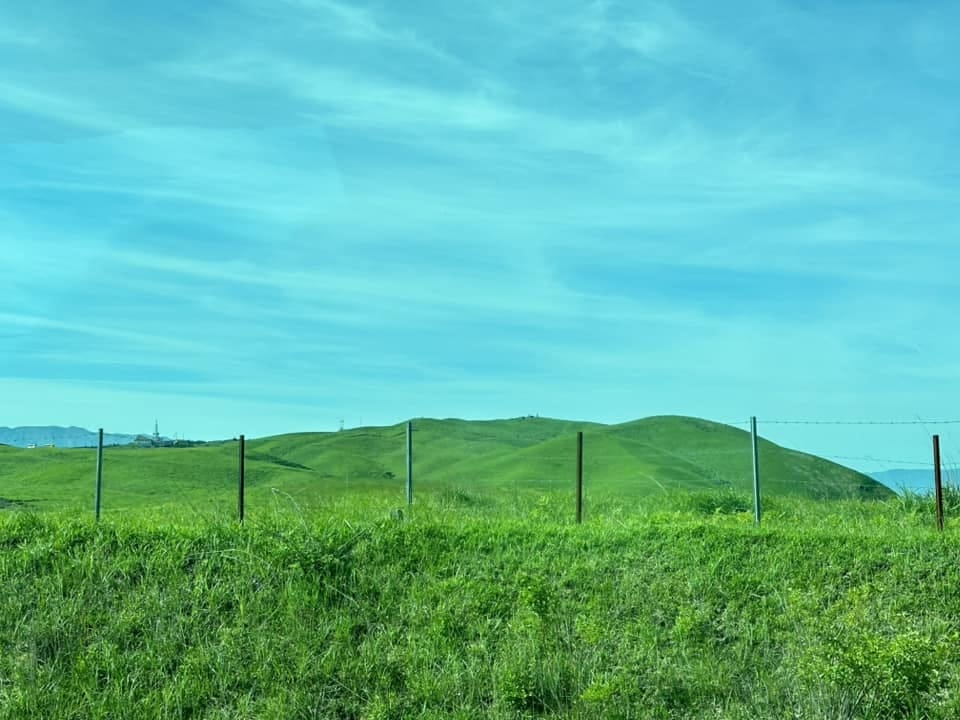 447901059_7898430080178730_2440283430440439434.jpg 447901059_7898430080178730_2440283430440439434.jpg