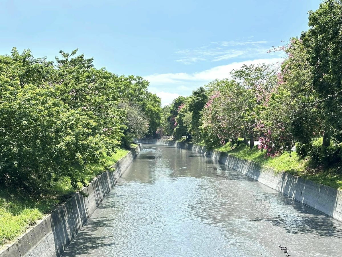 彰化埤頭【貝林古堡 • 菲尼克斯教堂】 秒飛歐風古堡、雕花鏤空教堂、超人氣蛋塔、還咖啡紅茶無限暢飲,黑糖珍珠加到爆/順遊北斗河濱公園及萬景藝苑@柚子芳姐の旅遊札記 - 第6張圖 459487959_8461493327205733_3249976856706029766.jpg