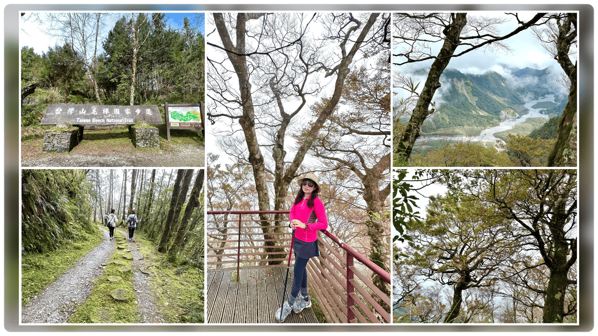 宜蘭員山【鳳梨屋水上莊園】全新可愛動物”萌萌村”開放啦!水豚君、熊貓羊、笑笑羊..太可愛啦!/假日親子一日遊、景觀咖啡屋、網美拍照打卡景點、豪華露營@柚子芳姐の旅遊札記 - 第123張圖 宜蘭員山【鳳梨屋水上莊園】全新可愛動物”萌萌村”開放啦!水豚君、熊貓羊、笑笑羊..太可愛啦!/假日親子一日遊、景觀咖啡屋、網美拍照打卡景點、豪華露營@柚子芳姐の旅遊札記