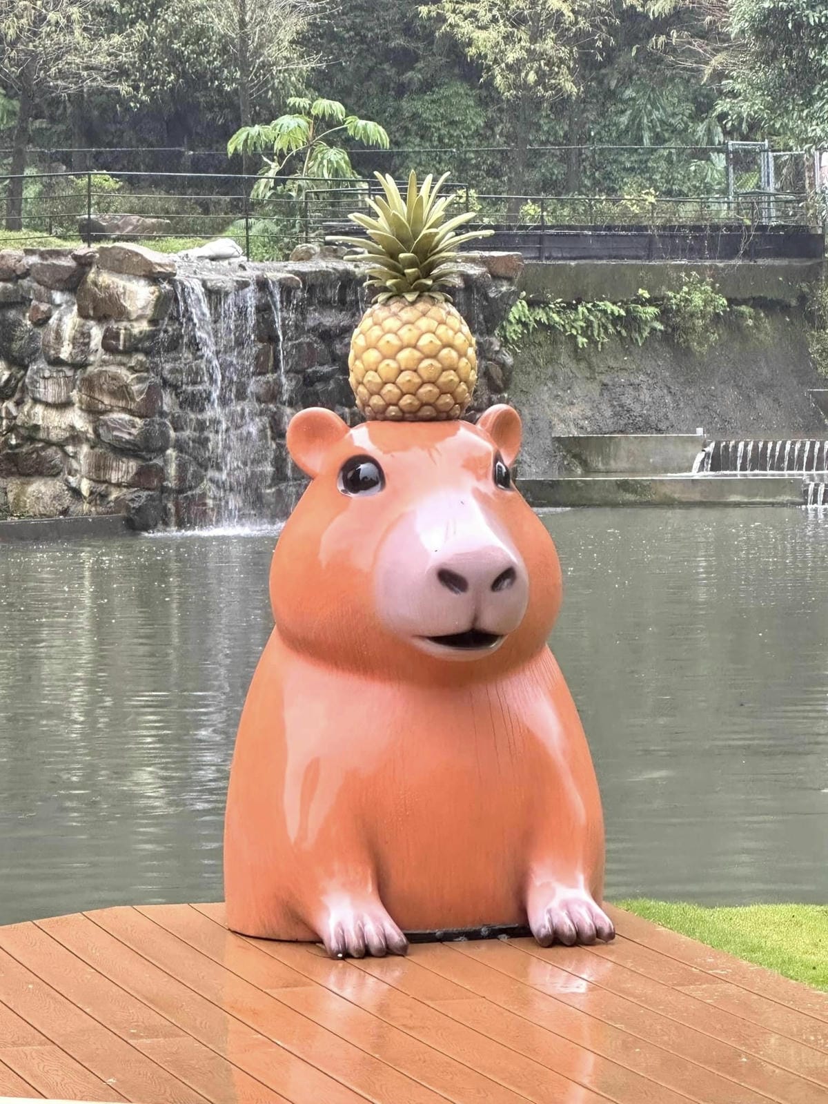 467996736_8989146874440373_5978323846413684140.jpg 467996736_8989146874440373_5978323846413684140.jpg