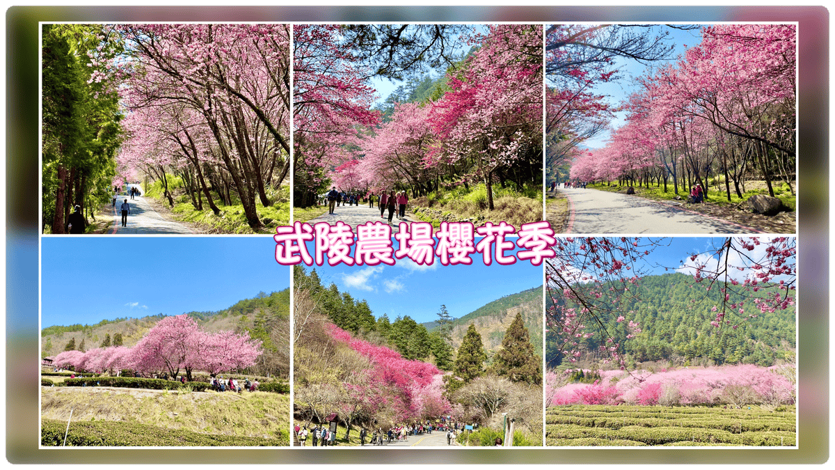 宜蘭員山【鳳梨屋水上莊園】全新可愛動物”萌萌村”開放啦!水豚君、熊貓羊、笑笑羊..太可愛啦!/假日親子一日遊、景觀咖啡屋、網美拍照打卡景點、豪華露營@柚子芳姐の旅遊札記 - 第134張圖 宜蘭員山【鳳梨屋水上莊園】全新可愛動物”萌萌村”開放啦!水豚君、熊貓羊、笑笑羊..太可愛啦!/假日親子一日遊、景觀咖啡屋、網美拍照打卡景點、豪華露營@柚子芳姐の旅遊札記