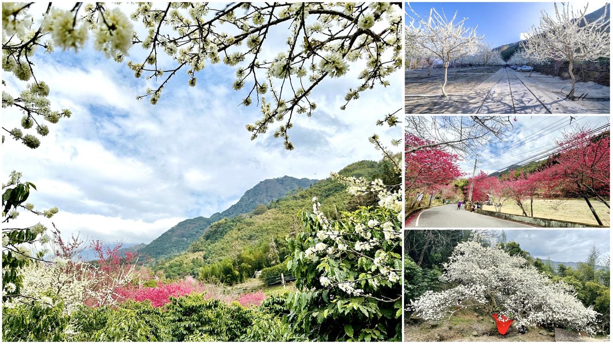 【南投輕旅行】 隱藏在山中茶園鹿篙咖啡莊園、cona’s妮娜巧克力看水豚君、參拜地靈人傑埔里地母廟/可順遊日月町、藍色城堡x茱諾法式甜點、日月潭@柚子芳姐の旅遊札記