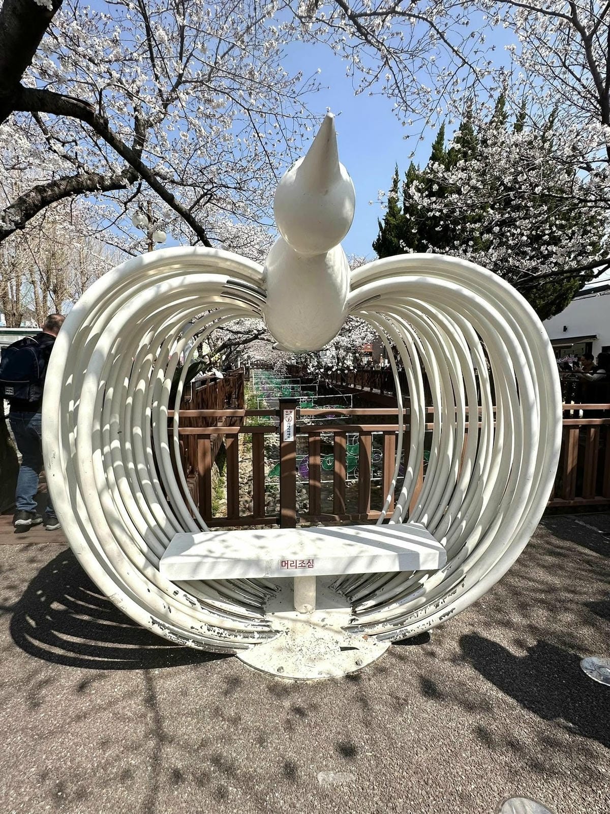 489411136_9768864763135243_481878850402174561.jpg