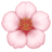 🌸