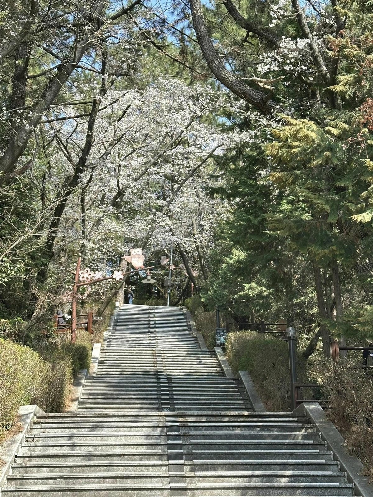 出國去【韓國釜山Busan】海雲臺天空膠囊列車/青沙浦天空