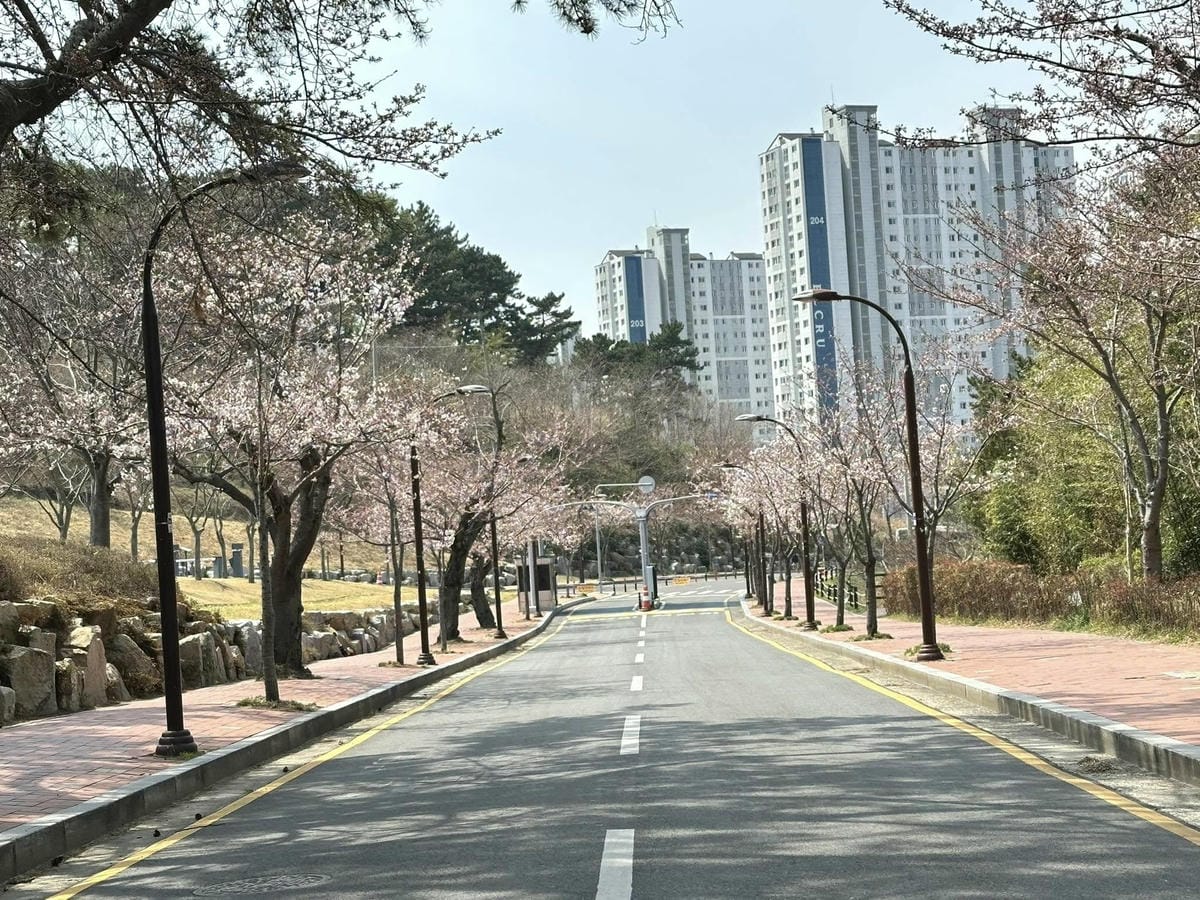 出國去【韓國釜山Busan】海雲臺天空膠囊列車/青沙浦天空