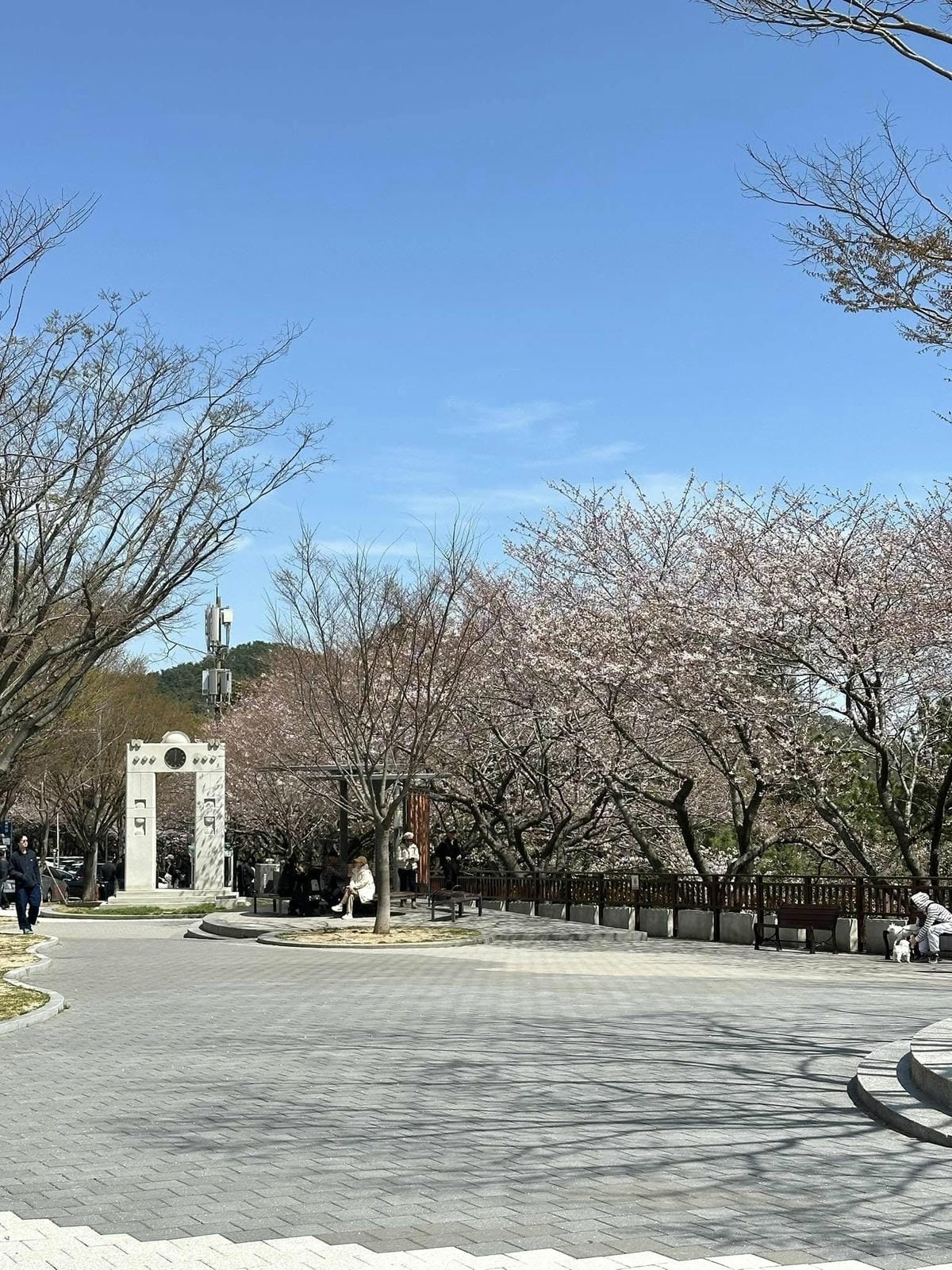 出國去【韓國釜山Busan】海雲臺天空膠囊列車/青沙浦天空