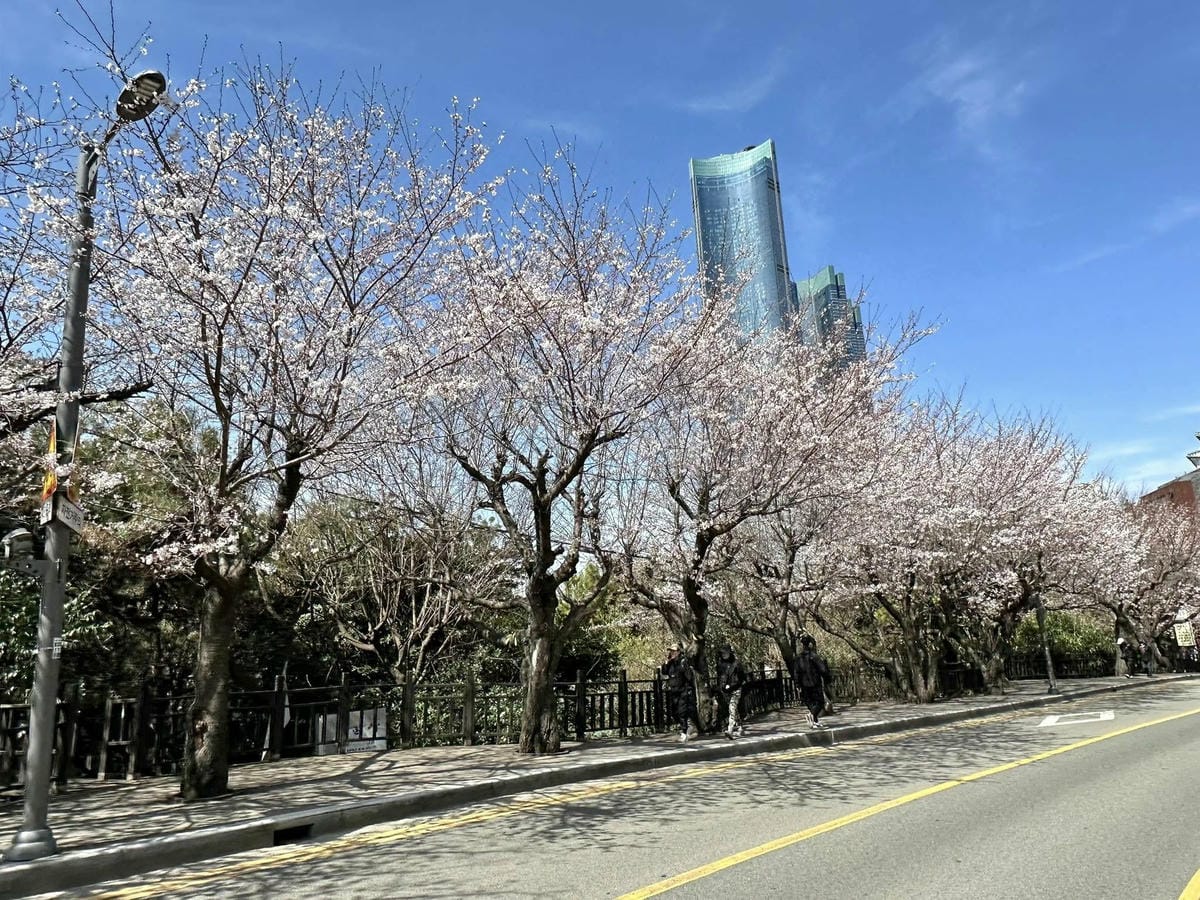 出國去【韓國釜山Busan】海雲臺天空膠囊列車/青沙浦天空