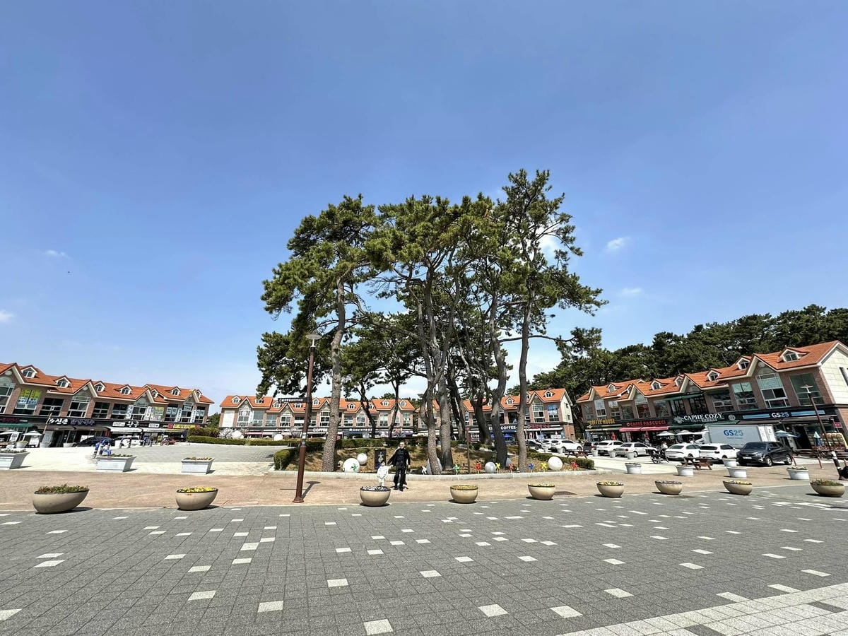 出國去【韓國釜山Busan】海雲臺天空膠囊列車/青沙浦天空