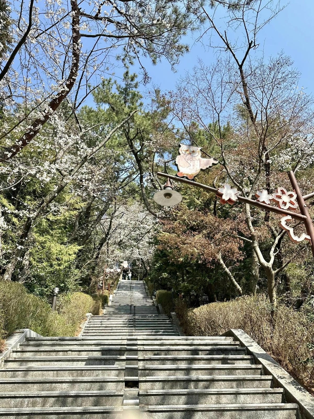 出國去【韓國釜山Busan】海雲臺天空膠囊列車/青沙浦天空