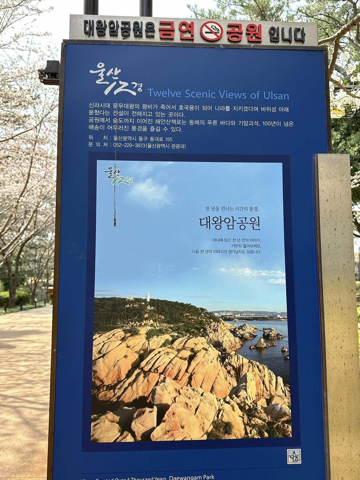 出國去【韓國釜山Busan】海雲臺天空膠囊列車/青沙浦天空
