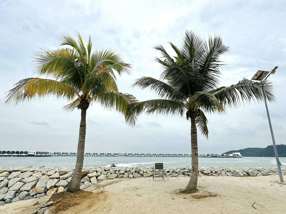 509583606_24125546403707173_9109335997897905949.jpg