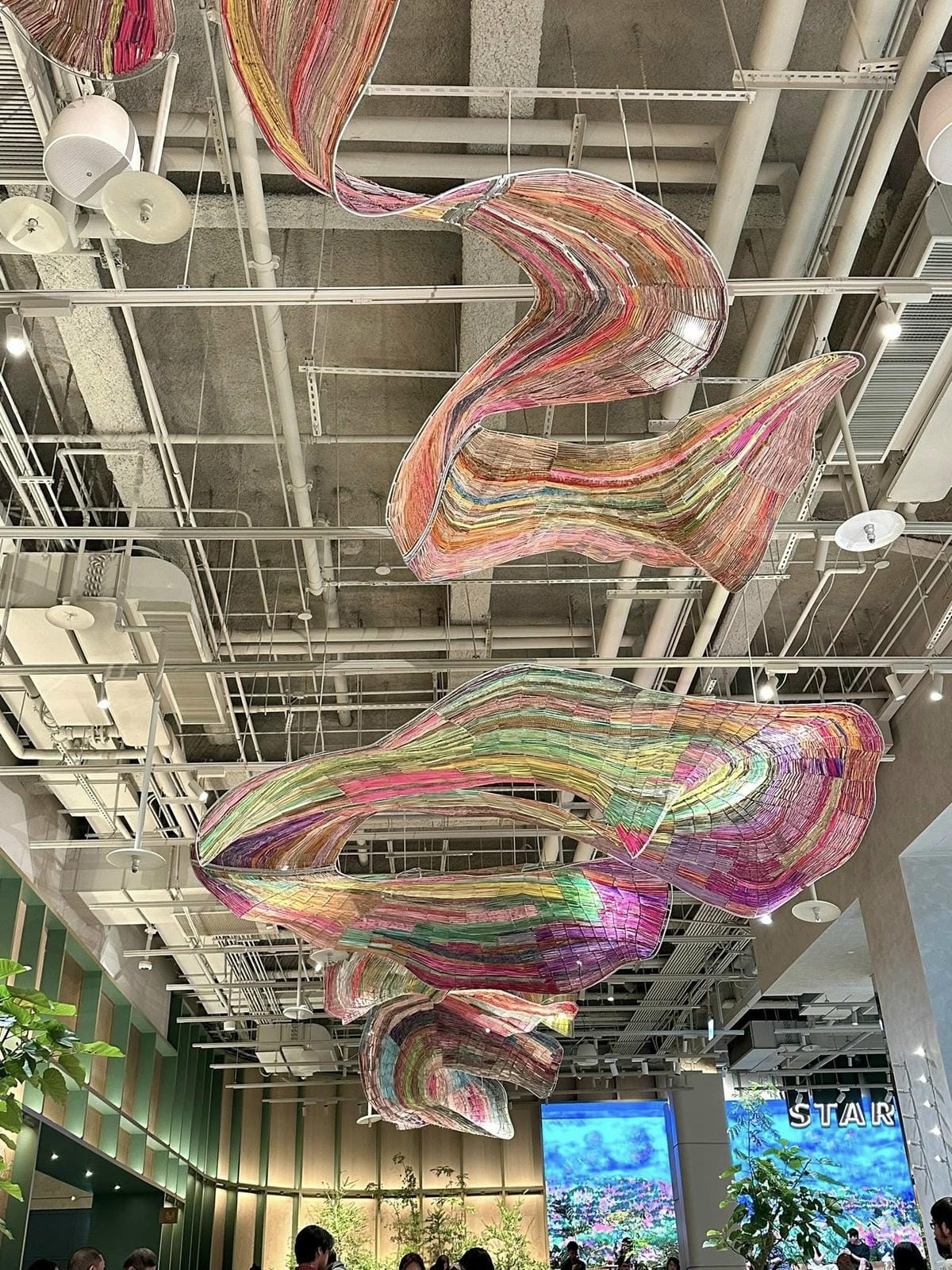 台北信義區【星巴克典藏DREAM PLAZA 台北】 【】