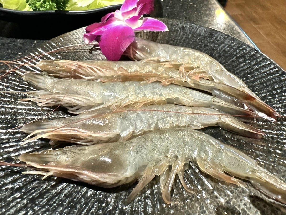 桃園美食【石頭燒烤火鍋吃到飽-桃園館】無限放題放飲燒烤、鍋