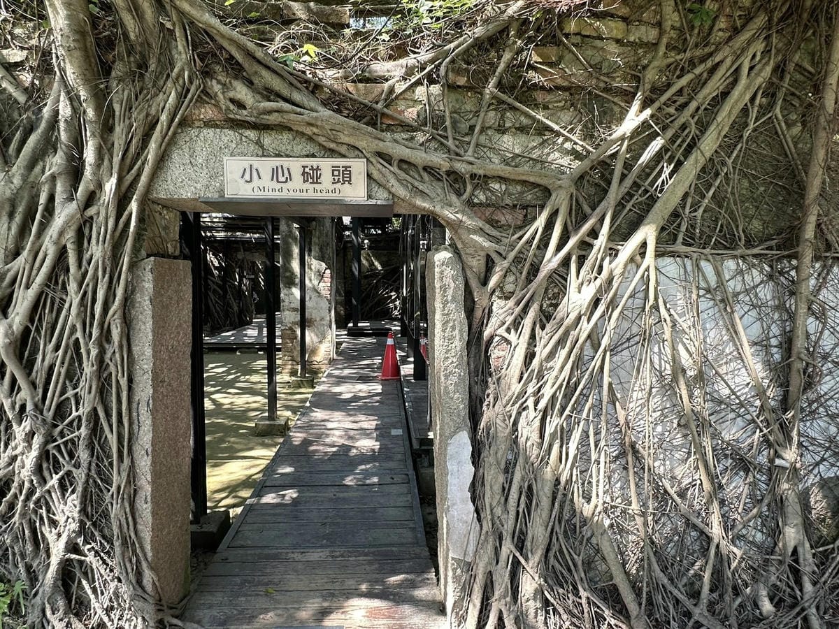 【台南安平一日遊】 【】C •『』 、 「」
