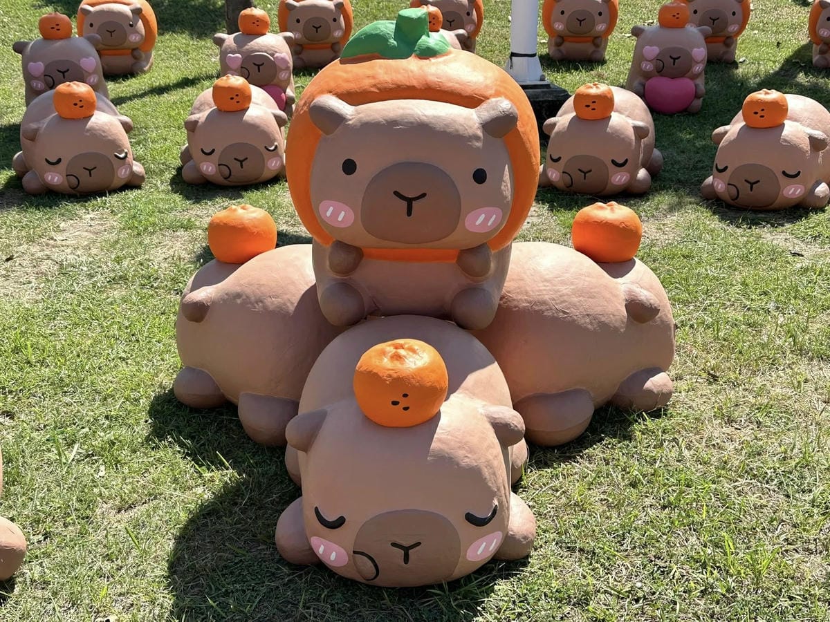 【台南安平一日遊】 【】C •『』 、 「」