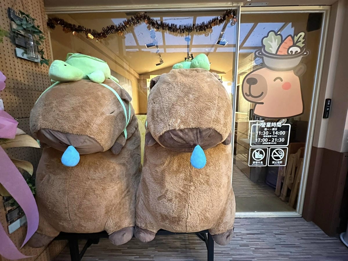 隱藏在台北信義區巷弄中【水豚屋 Capybara House