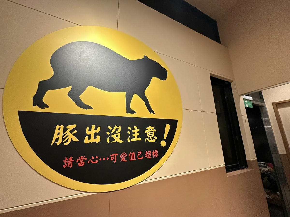 隱藏在台北信義區巷弄中【水豚屋 Capybara House